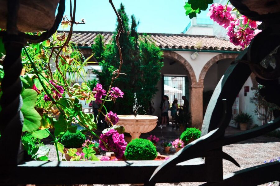 Cordoba: Patios and Viana Palace Tour - Why the Patio Circuit at Palacio de Viana Feels Like a Time Machine