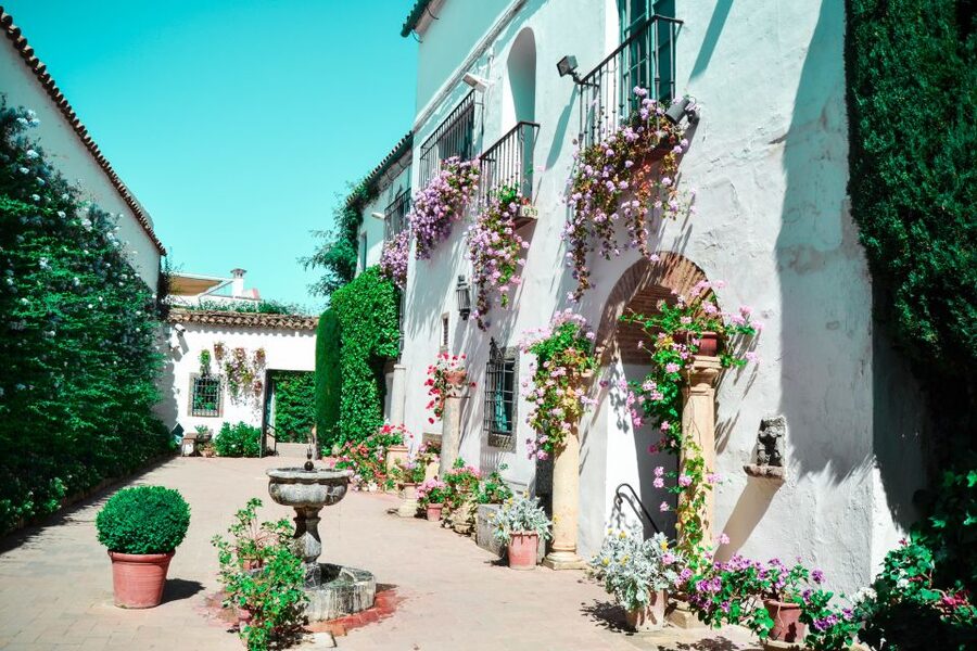 Cordoba: Patios and Viana Palace Tour - Stepping Inside the Palace: Goya, Weapons, and Medieval Structure Clues