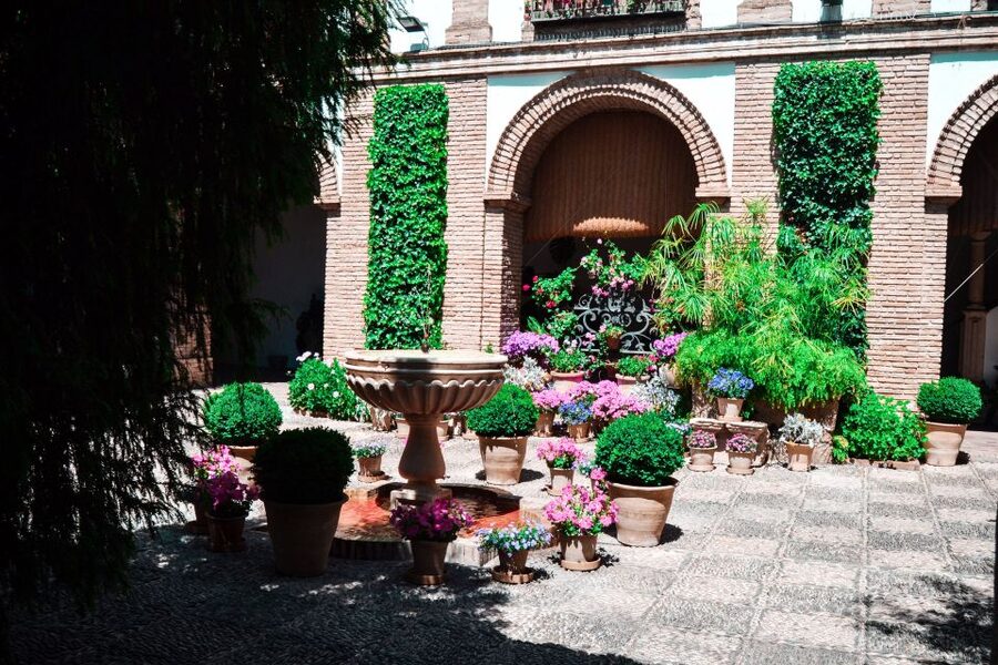 Cordoba: Patios and Viana Palace Tour - The Official Guide Experience: Spanish Live Commentary, Plus Friendly Names