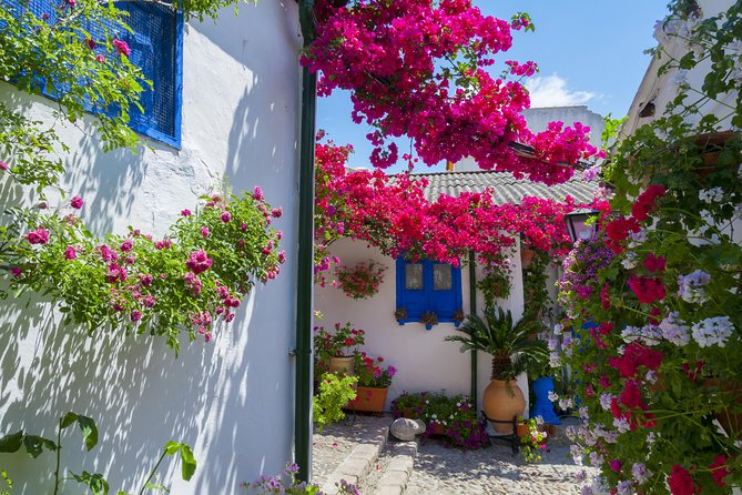 Cordoba's Authentic Patios: 2-Hour Tour with Tickets - Key highlights I think you will care about