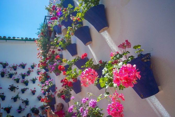 Cordoba's Authentic Patios: 2-Hour Tour with Tickets - Why Cordoba’s Patios Feel More Like Home Than Attractions