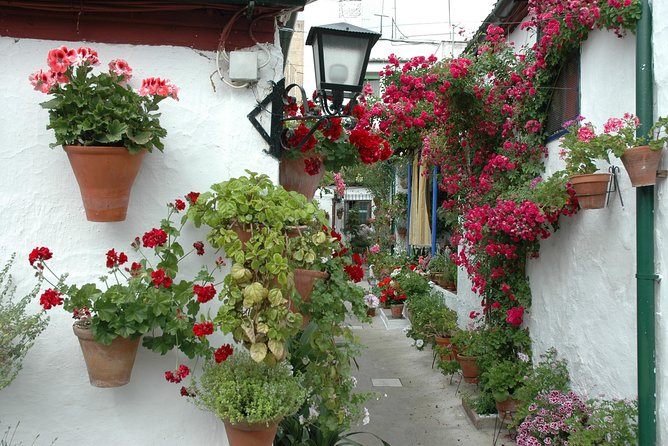 Cordoba's Authentic Patios: 2-Hour Tour with Tickets - San Basilio Courtyards: Five Private Patios You Step Into