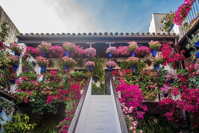 Cordoba's Authentic Patios: 2-Hour Tour with Tickets - Price and Value: Why $21 Can Feel Like a Deal