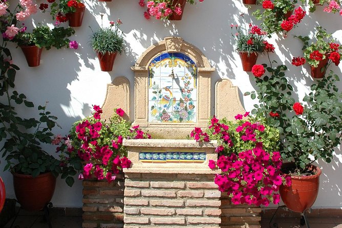 Cordoba's Authentic Patios: 2-Hour Tour with Tickets - Festival Season Twist: Early May Visits San Francisco and Santiago