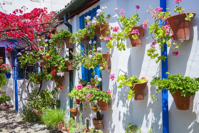 Cordoba's Authentic Patios: 2-Hour Tour with Tickets - The Alcazar Viejo Walk: What Two Hours Actually Covers