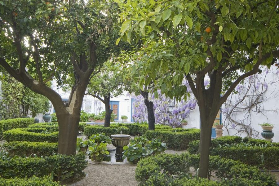 Córdoba: Viana Palace Gardens and Patios Entry Ticket - Where Viana Palace’s patios start in Plaza de Don Gome