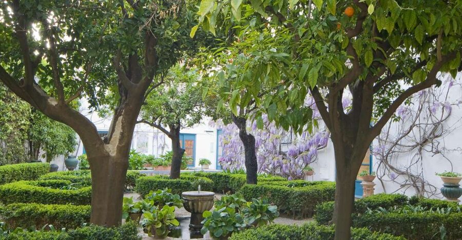 Córdoba: Viana Palace Gardens and Patios Entry Ticket - The 12 courtyards: history told through walking