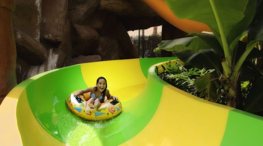 Costa Adeje: Aqualand Water Park Ticket with Dolphin Show - A realistic day flow you can copy