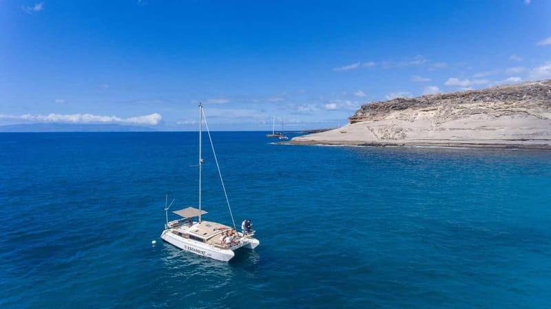 Costa Adeje: Catamaran Tour, Snorkelling, Snacks & Drinks - Dolphins and Turtles: Wildlife Watching Without the Chaos