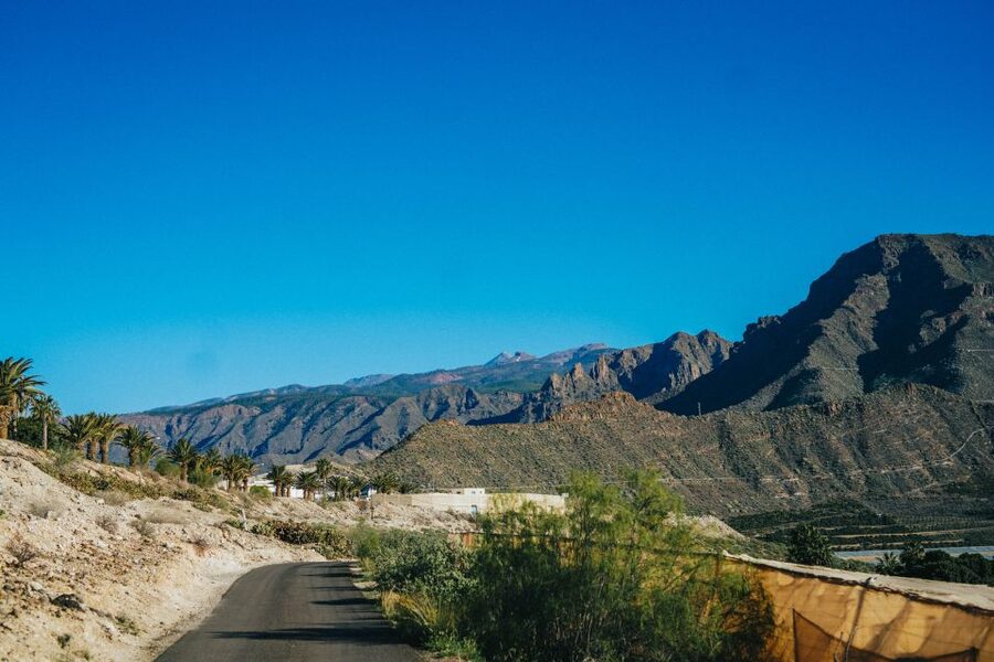 Costa Adeje: Double Tuk Tuk Tour - El Mirador walking time and why it’s more than a view