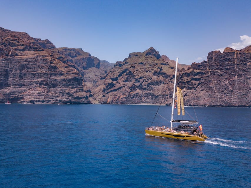 Costa Adeje: Masca and Los Gigantes Whale Watching Cruise - The Tenerife ocean channel: what you’re really chasing at sea