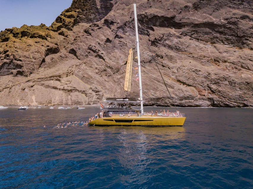 Costa Adeje: Masca and Los Gigantes Whale Watching Cruise - Who this Costa Adeje whale cruise is best for