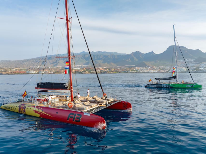 Costa Adeje: Masca and Los Gigantes Whale Watching Cruise - Boarding Puerto Colón: where to be and how the day starts