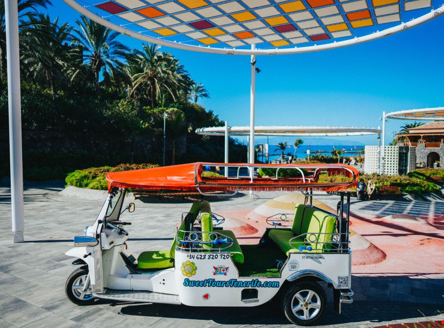 Costa Adeje: Secret Volcano Tuk Tuk Tour - How the 1-hour Costa Adeje tuk tuk tour runs, start to finish