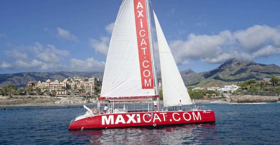 Costa Adeje: Whale and Dolphin Cruise with Food and Pickup - Key highlights you should care about