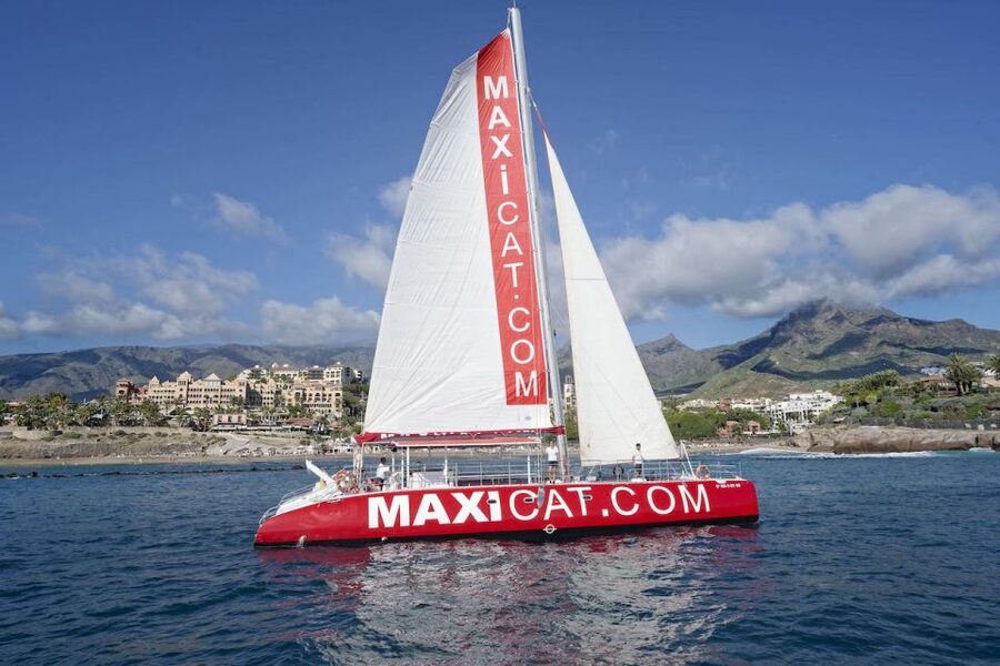 Costa Adeje: Whale and Dolphin Cruise with Food and Pickup - How the timing works: Puerto Colon pickup, safety, then out to sea