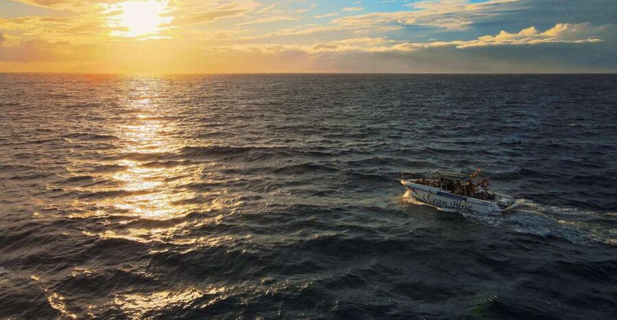 Costa Adeje: Whale and Dolphin-Watching Boat Excursion - Key Takeaways Before You Go