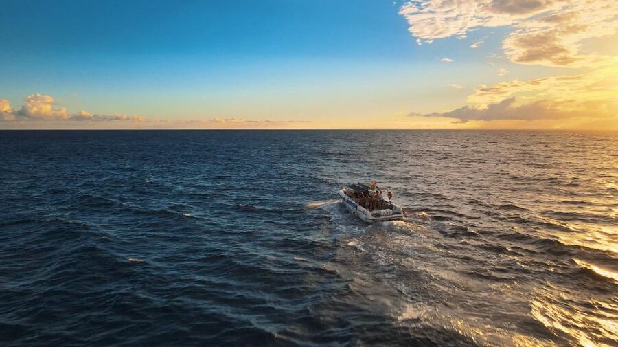 Costa Adeje: Whale and Dolphin-Watching Boat Excursion - Costa Adeje Whale Watching From Lina Yacht: Small Boat, Real Encounters