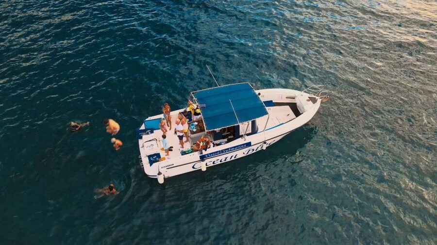 Costa Adeje: Whale and Dolphin-Watching Boat Excursion - Puerto Colón Time on the Water: Getting Help to See What’s There
