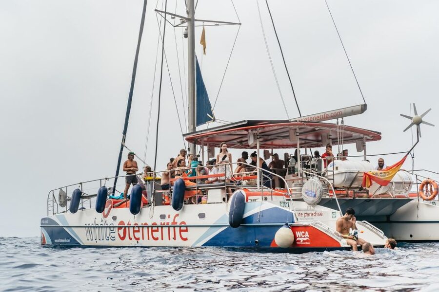 Costa Adeje: Whale & Dolphin Eco-Cruise with Snacks & Drinks - Costa Adeje to the Teno-Rasca Sanctuary, in a Few Easy Steps