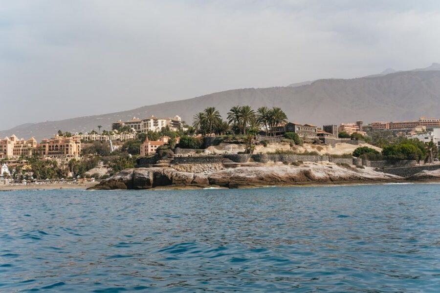 Costa Adeje: Whale & Dolphin Eco-Cruise with Snacks & Drinks - Should You Book This Costa Adeje Whale and Dolphin Eco-Cruise?