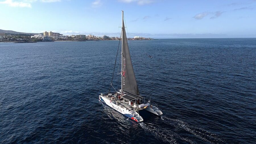 Costa Adeje: Whale & Dolphin Eco-Cruise with Snacks & Drinks - Choosing the 3 Hours vs the 5 Hours (Los Gigantes and Masca)