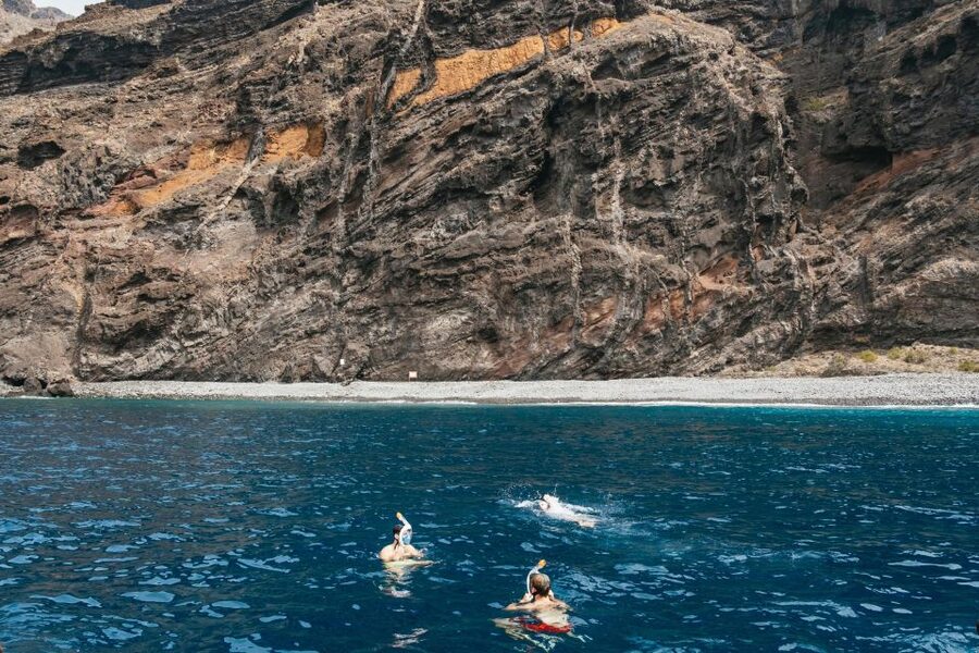 Costa Adeje: Whale & Dolphin Eco-Cruise with Snacks & Drinks - On Board: Drinks, Sandwiches, Underwater Sound, and the Little Comfort Wins