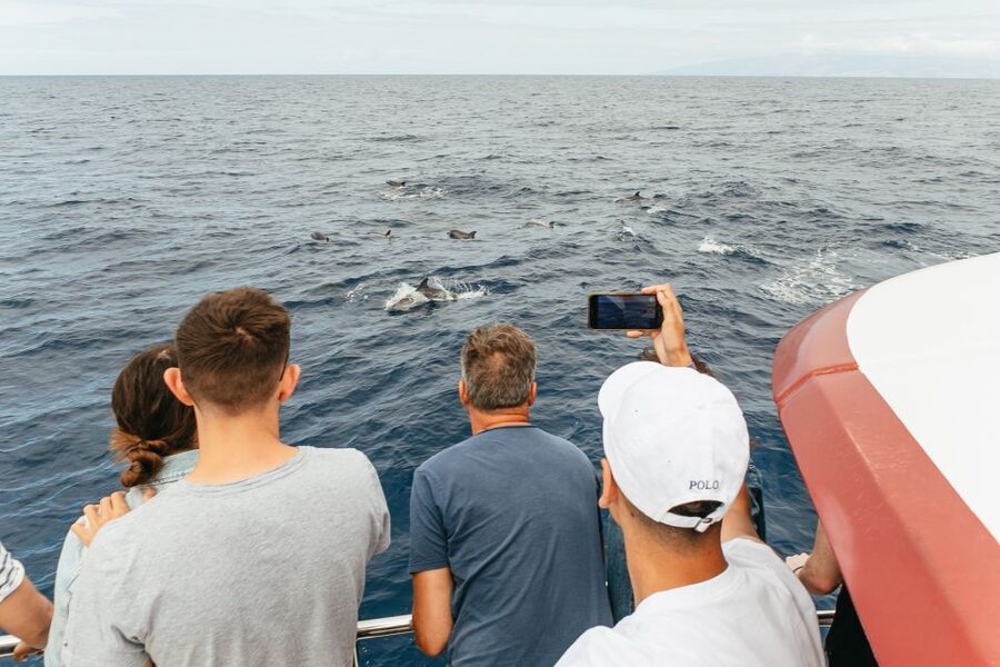 Costa Adeje: Whale & Dolphin Submarine Vision Mini Cruise - Who should book, and who might want a different plan