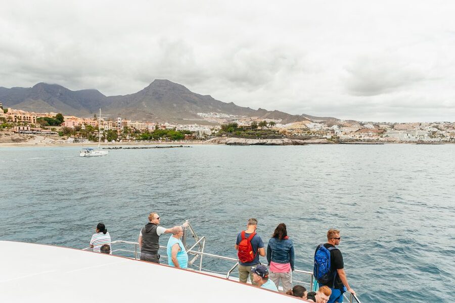 Costa Adeje: Whale & Dolphin Submarine Vision Mini Cruise - Royal Delfin at Dock 12: what your first minutes are really about