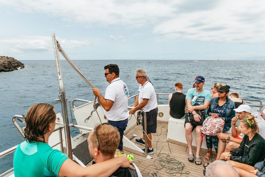Costa Adeje: Whale & Dolphin Submarine Vision Mini Cruise - Photo stop time: why 30 minutes feels short and still works