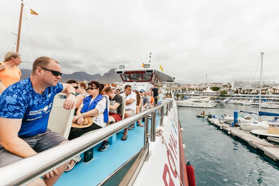 Costa Adeje: Whale & Dolphin Submarine Vision Mini Cruise - Seasickness, sun, and what to bring for a smoother ride