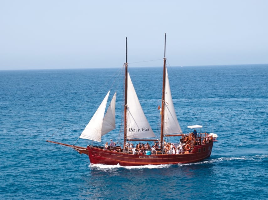 Costa Adeje: Whale & Dolphin Watching Cruise with Swim - Entering the Colón Harbor scene on Pier 14 (Barco Shogun)