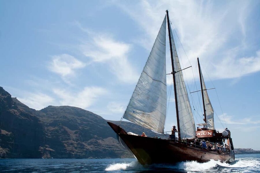 Costa Adeje: Whale & Dolphin Watching Cruise with Swim - Whale and dolphin spotting, with the rules that keep it respectful