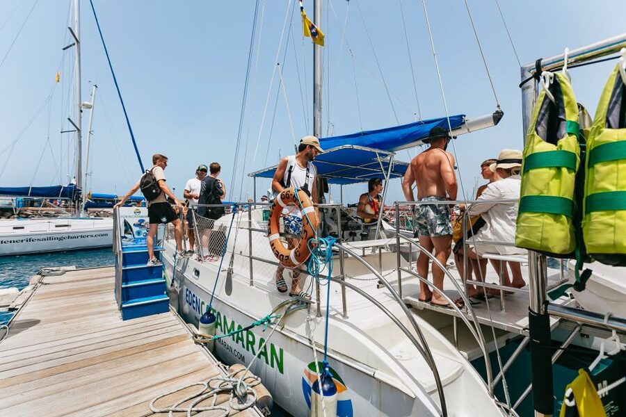 Costa Adeje: Whale Watching Catamaran Tour with Drinks - Value for $41: what you’re really paying for