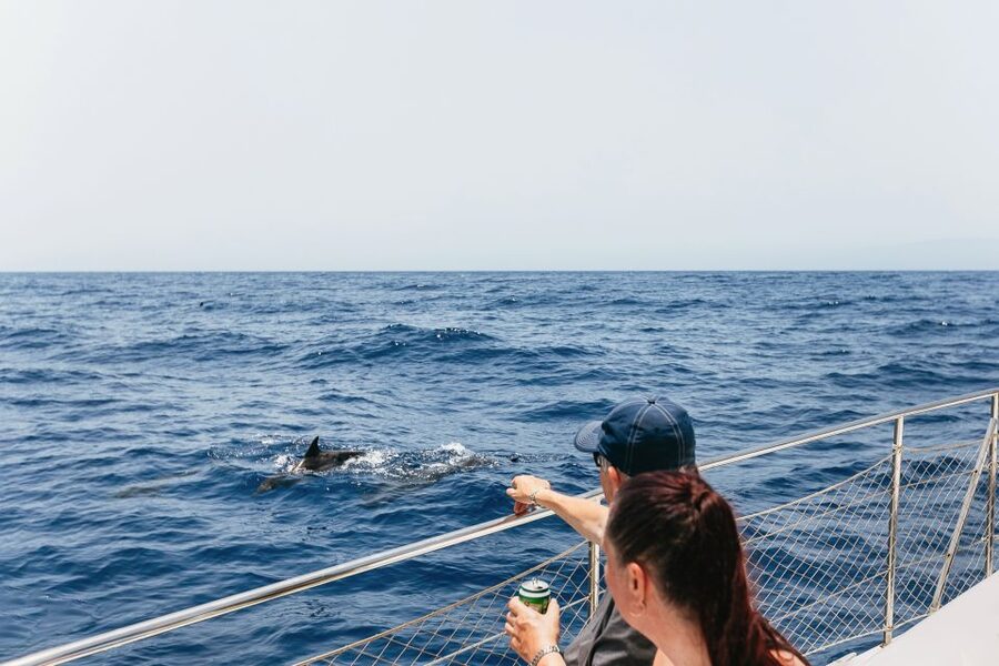 Costa Adeje: Whale Watching Catamaran Tour with Drinks - Pilot whales, not offshore guessing, in Costa Adeje