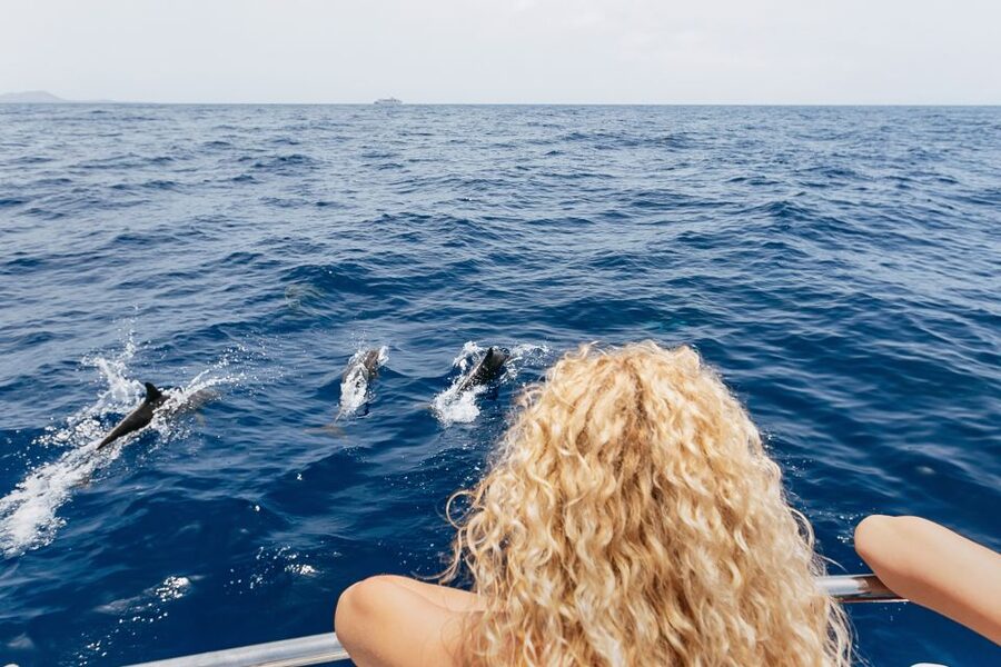 Costa Adeje: Whale Watching Catamaran Tour with Drinks - Weather, waves, and the sea sickness reality check