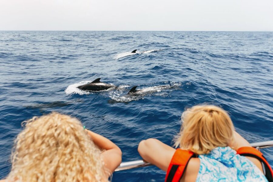 Costa Adeje: Whale Watching Catamaran Tour with Drinks - From Puerto Colón to the pilot whale zone: the ride you’ll actually remember
