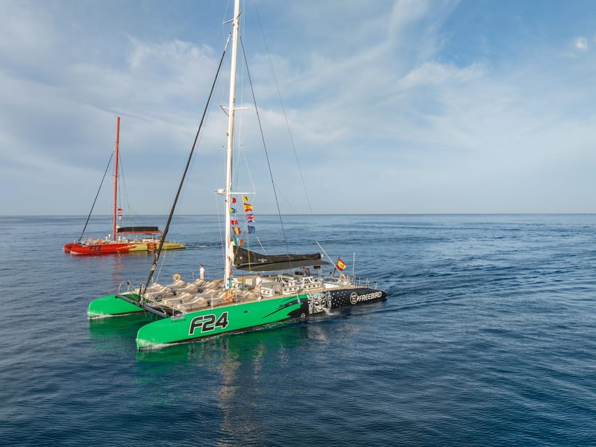 Costa Adeje: Whale Watching Cruise - Key Things You’ll Notice on This Cruise