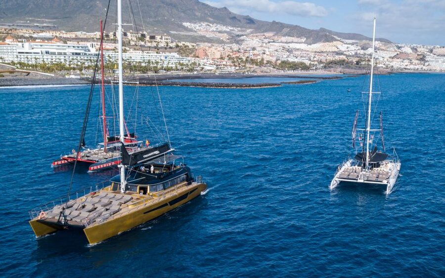 Costa Adeje: Whale Watching Cruise - Costa Adeje Makes Whale Watching Feel Easy