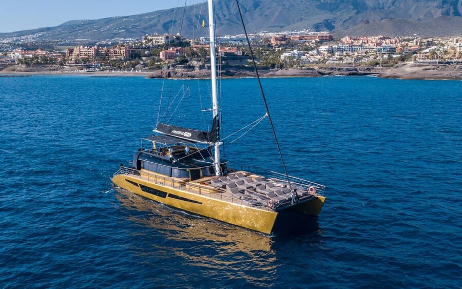 Costa Adeje: Whale Watching Cruise - Getting Out Into Atlantic Water: What You’re Hoping to See