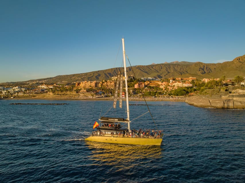 Costa Adeje: Whale Watching Cruise - Spotting Whales and Dolphins While the Crew Does the Work