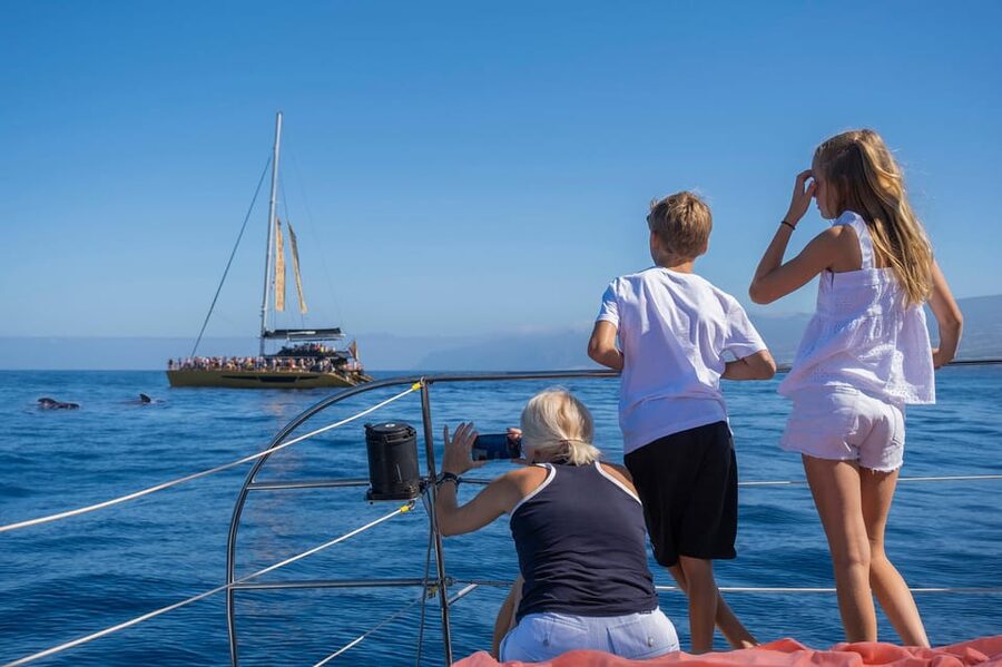 Costa Adeje: Whale Watching Cruise - The Swim Stop: The Part Families Remember