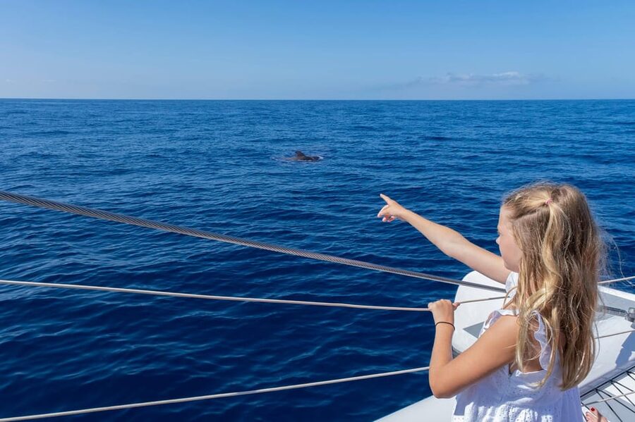 Costa Adeje: Whale Watching Cruise - Who This Short Cruise Is For, and Who Should Skip It