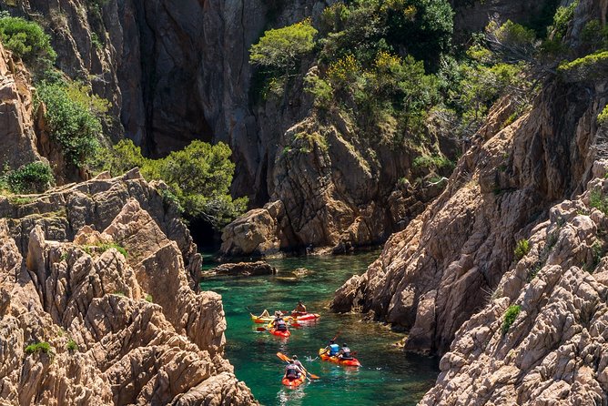 Costa Brava Kayaking and Snorkeling Small Group Tour with Lunch - Snorkeling Gear, Clear Water, And The Sea Life Moment