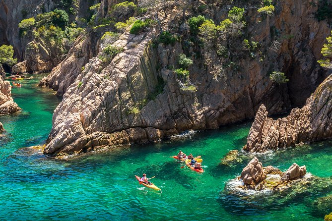 Costa Brava Kayaking and Snorkeling Small Group Tour with Lunch - Cliff Jumping Options: Big Fun, Real Consideration