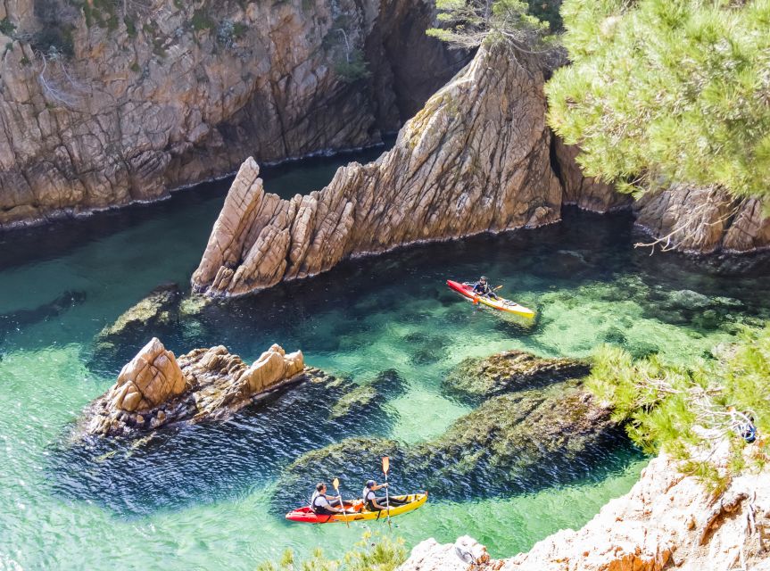 Costa Brava: Sea Caves Kayaking and Snorkeling Tour - Key Reasons This Tour Makes Sense