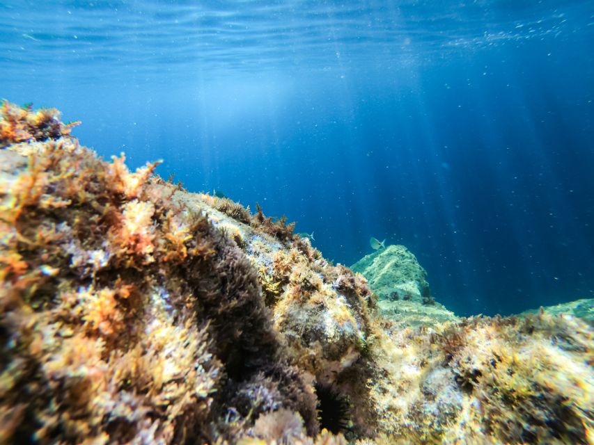 Costa Brava: Sea Caves Kayaking and Snorkeling Tour - Price And Value: Getting All The Gear Included For $40