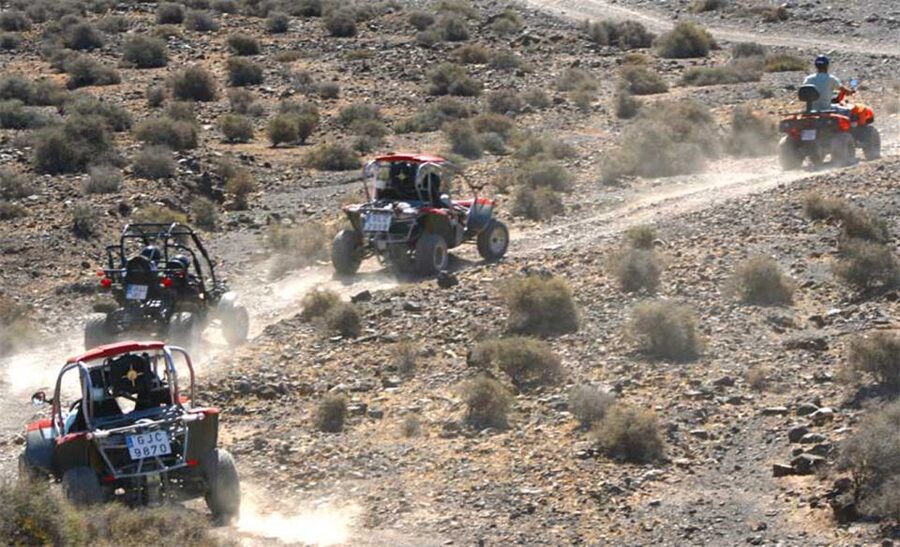 Costa Calma: Buggy Safari - Guide quality and the small-group pace that keeps things fun