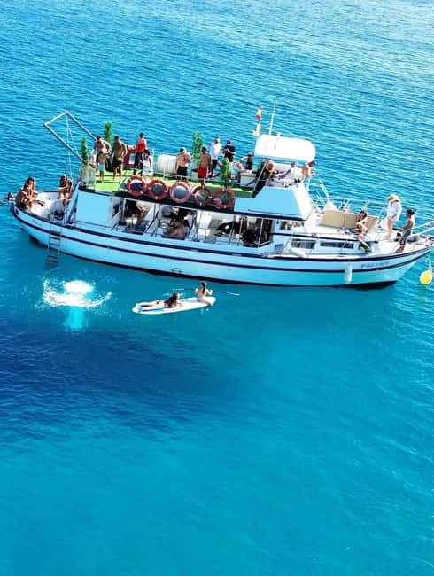 Costa Calma: Fuerteventura Dolphin Watching Boat Tour - Costa Calma Dolphin Watching on Fuerteventura: the vibe