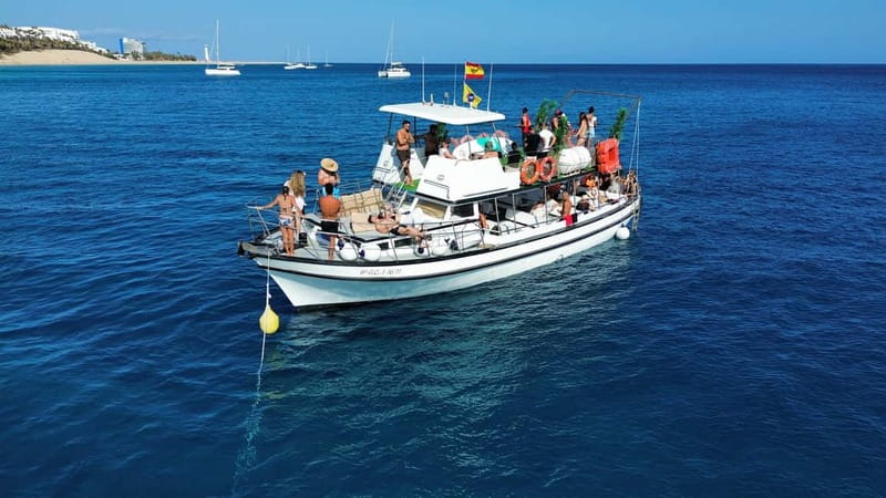 Costa Calma: Fuerteventura Dolphin Watching Boat Tour - Snorkeling equipment included: how to use it (and what to expect)